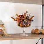 Apartment Ziba Only Families