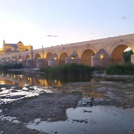 Ziba Only Families * קורדובה