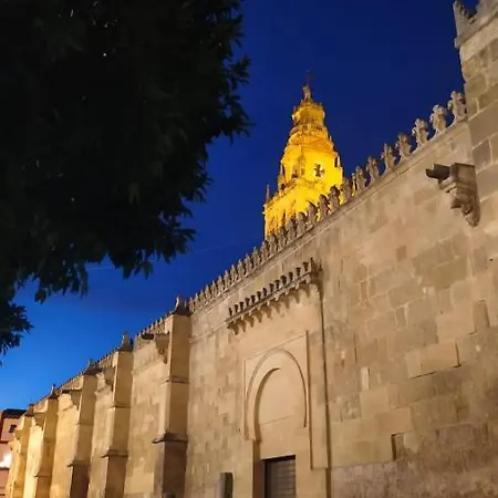 Ziba Only Families Апартаменты