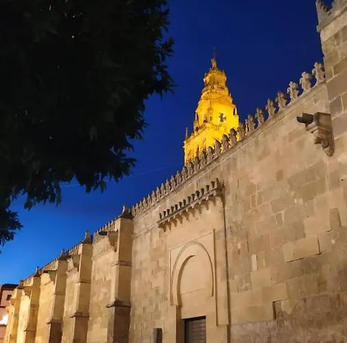 Ziba Only Families Lägenhet