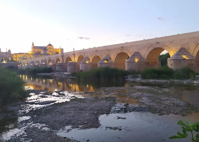 Ziba Only Families * Córdoba